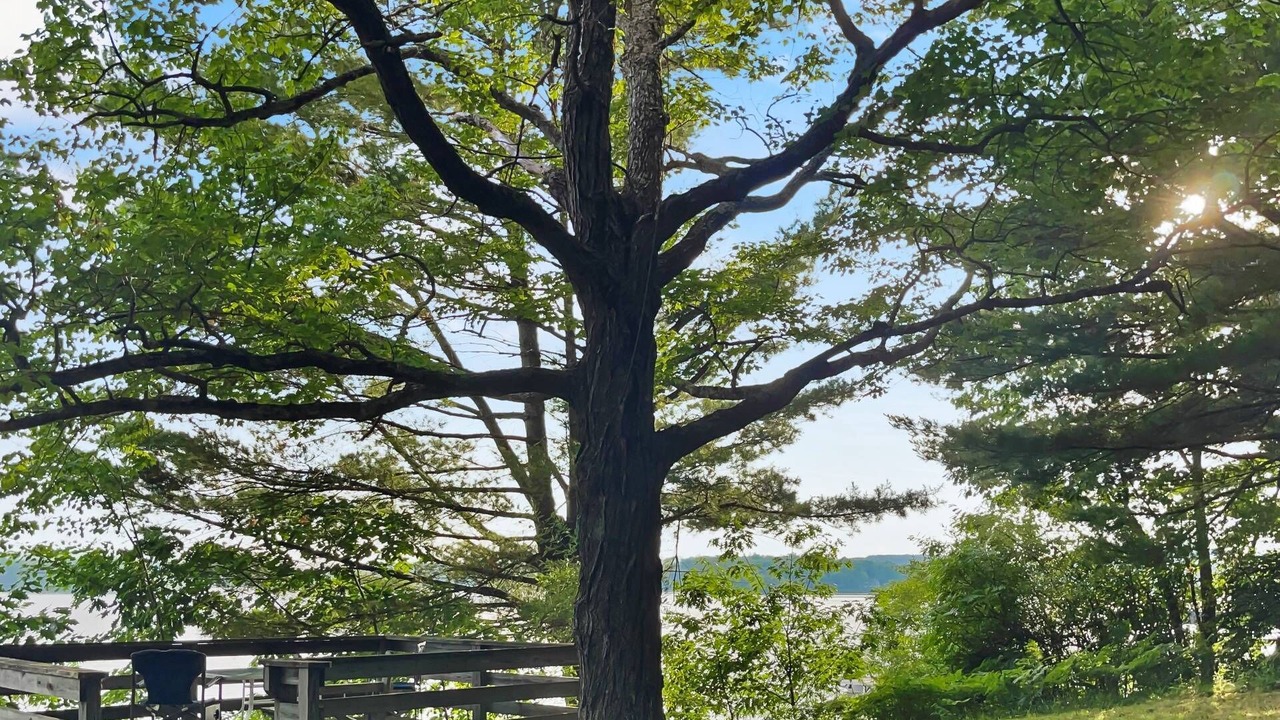 Photo of Outdoor in Moultonborough