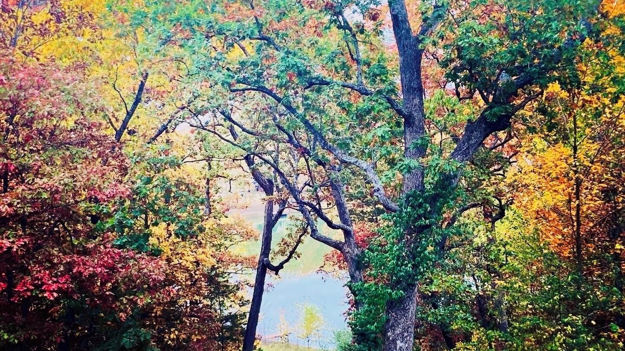 Photo of Outdoor in Cedar Hill