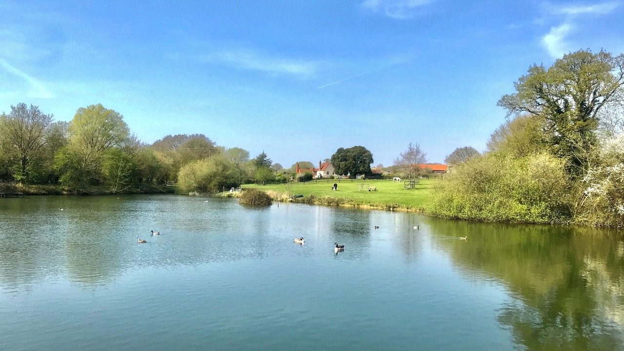 Photo of Others in North Weald