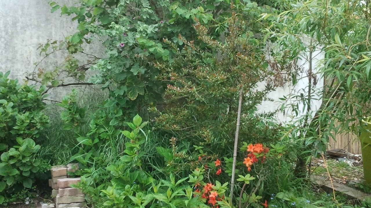 Photo of Outdoor in Saint-Marc-sur-Mer