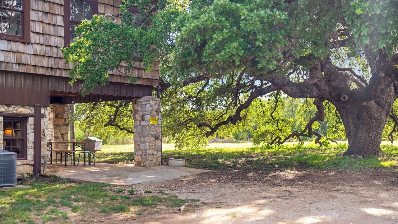 Photo of Outdoor in Buda