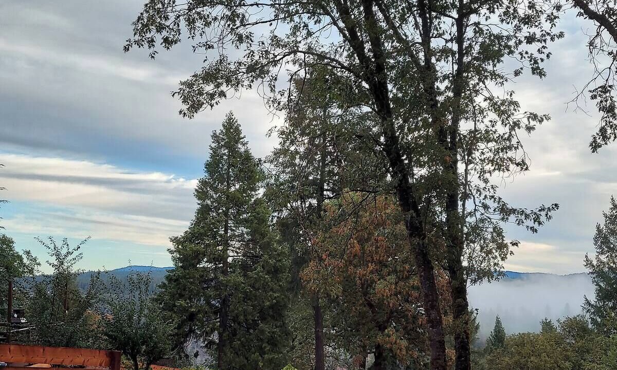 Photo of Others in Apple Hill