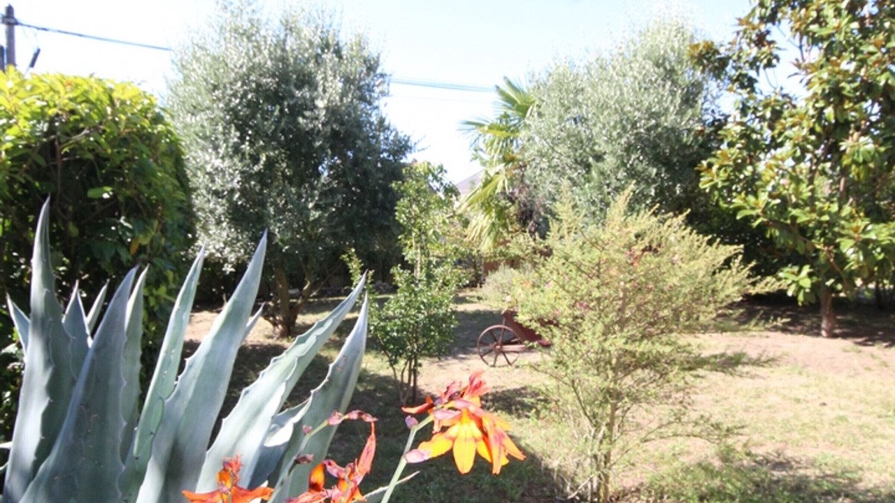 Photo of Outdoor in Herblay