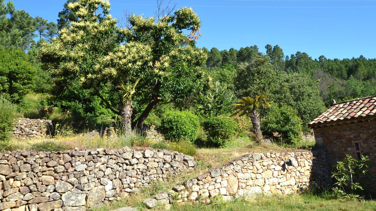 Photo of Outdoor in Generargues