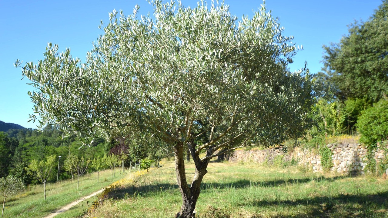 Photo of Outdoor in Generargues