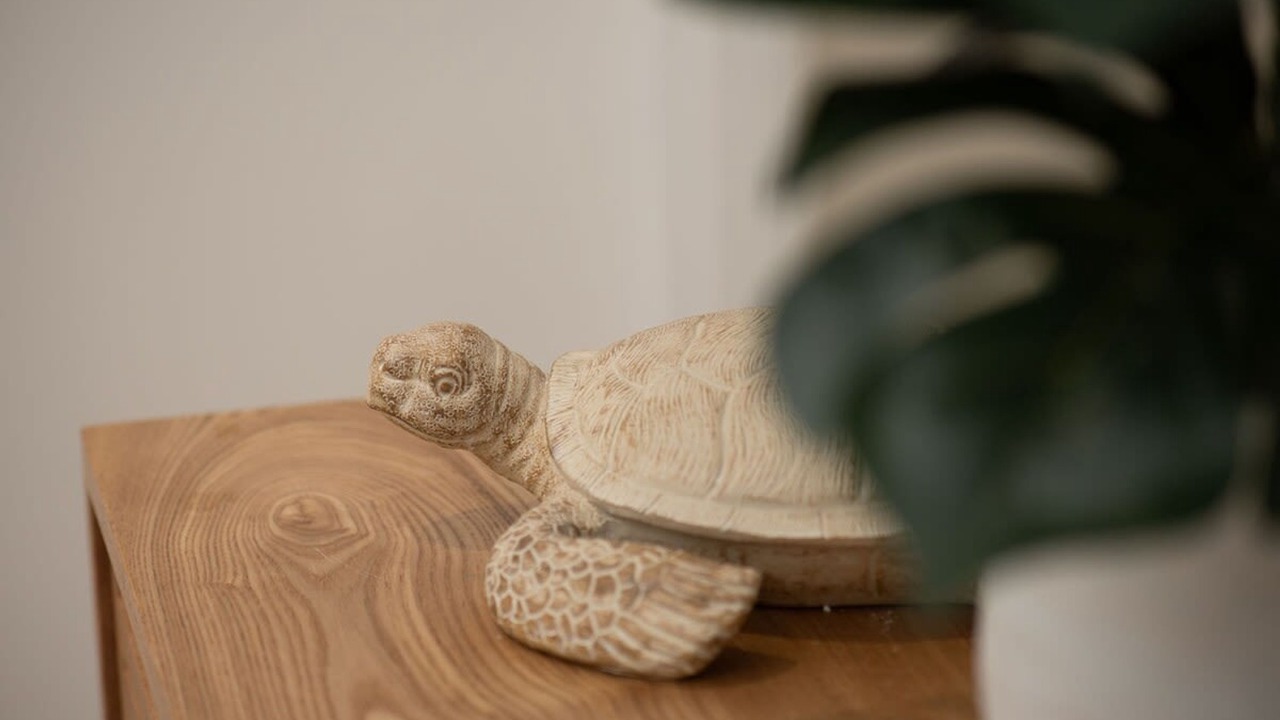 Photo of Others in Edge Hill