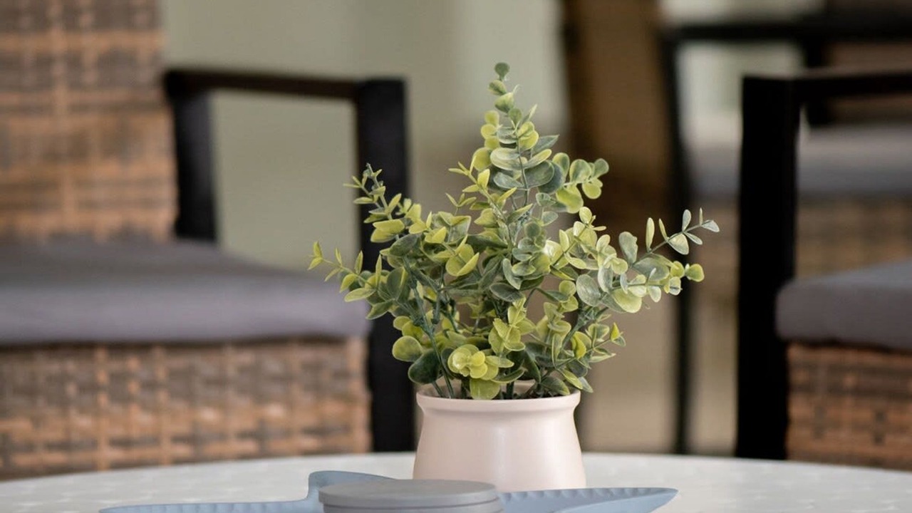 Photo of Others in Edge Hill