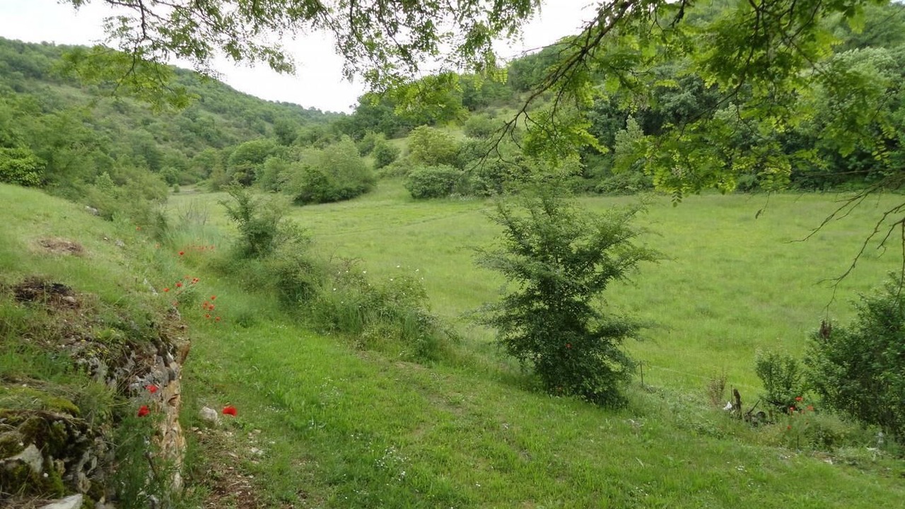 Photo of Others in Brengues