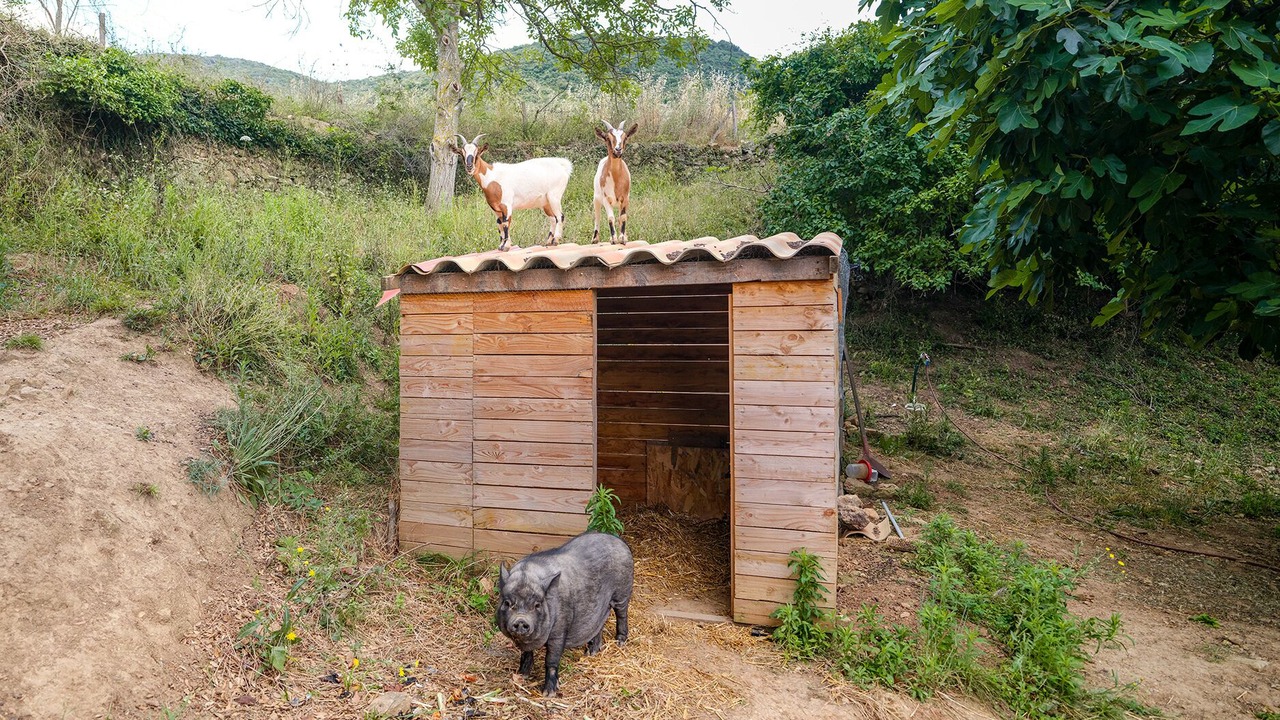 Photo of Others in Bedarieux