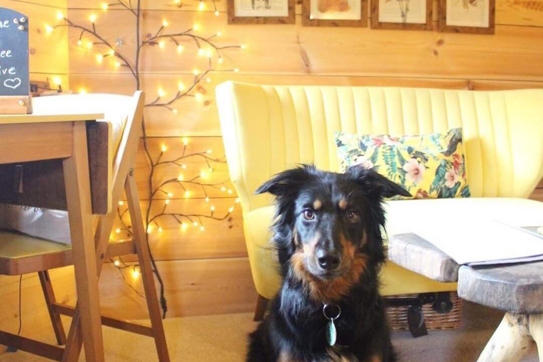 Photo of Others in Strathdon