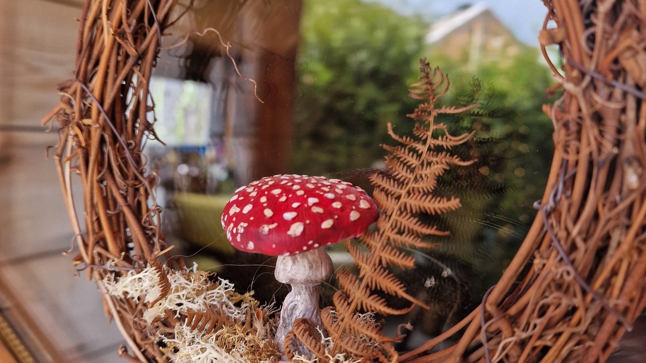 Photo of Outdoor in Strathdon