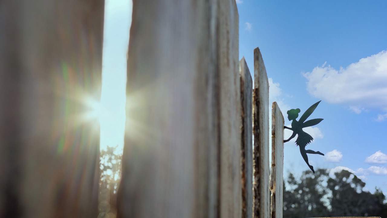 Photo of Others in Strathdon