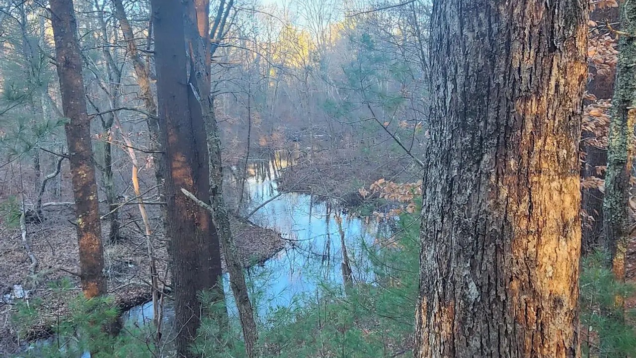 Photo of Outdoor in Easton