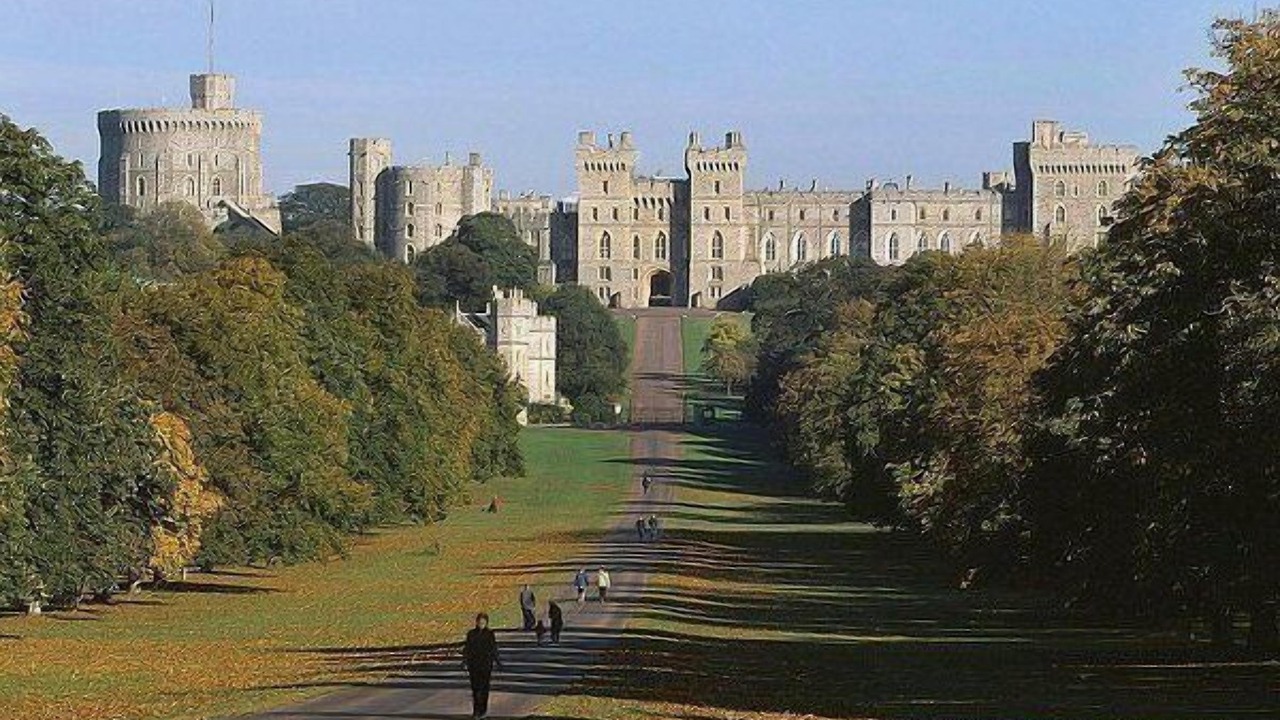 Photo of Others in Fleet