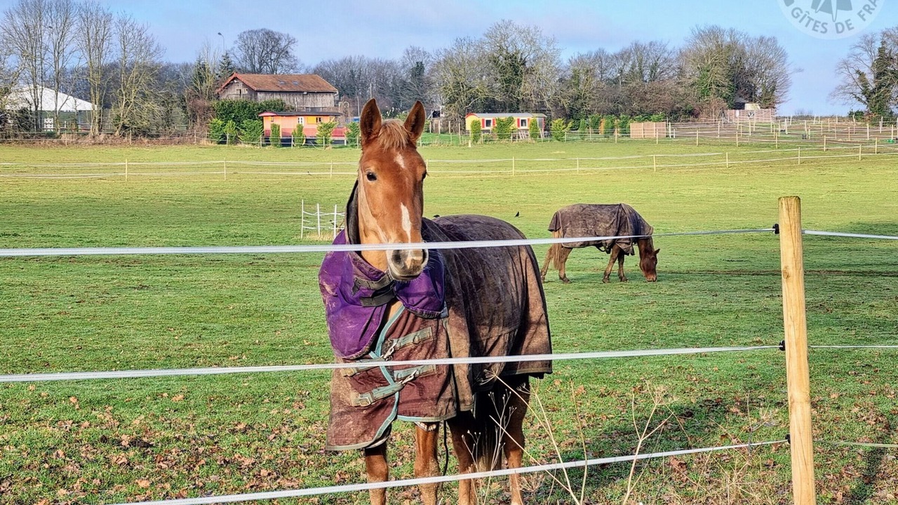 Photo of Outdoor in Ronquerolles