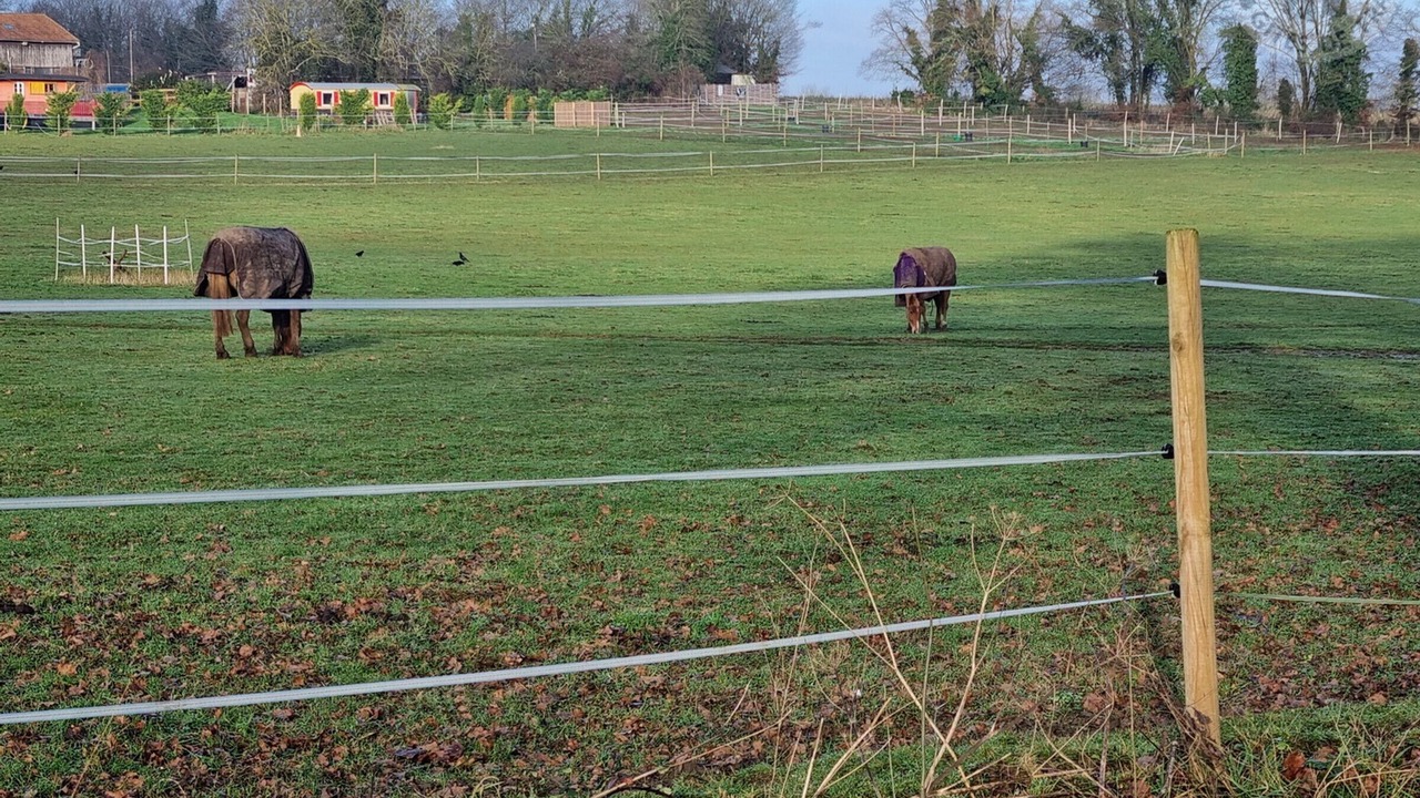 Photo of Others in Chambly