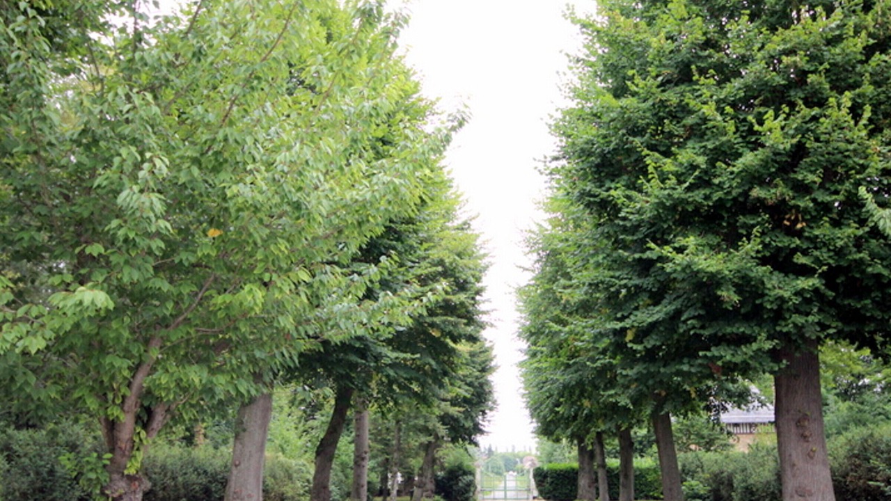 Photo of Outdoor in Chambly