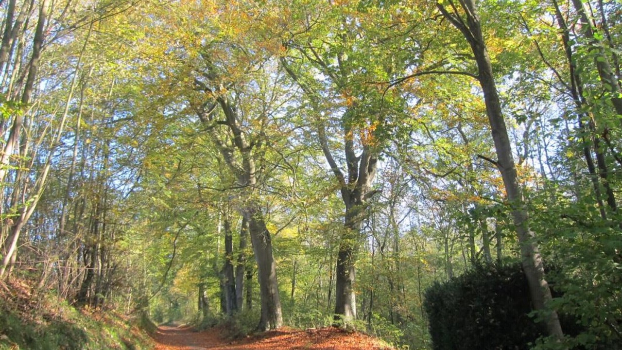 Photo of Others in Chambly