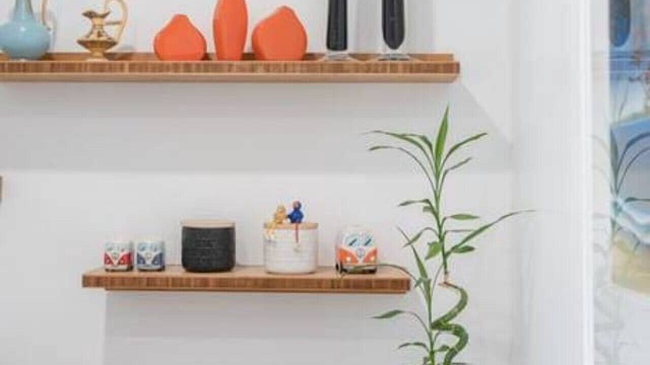 Photo of Kitchen in Castor Bay