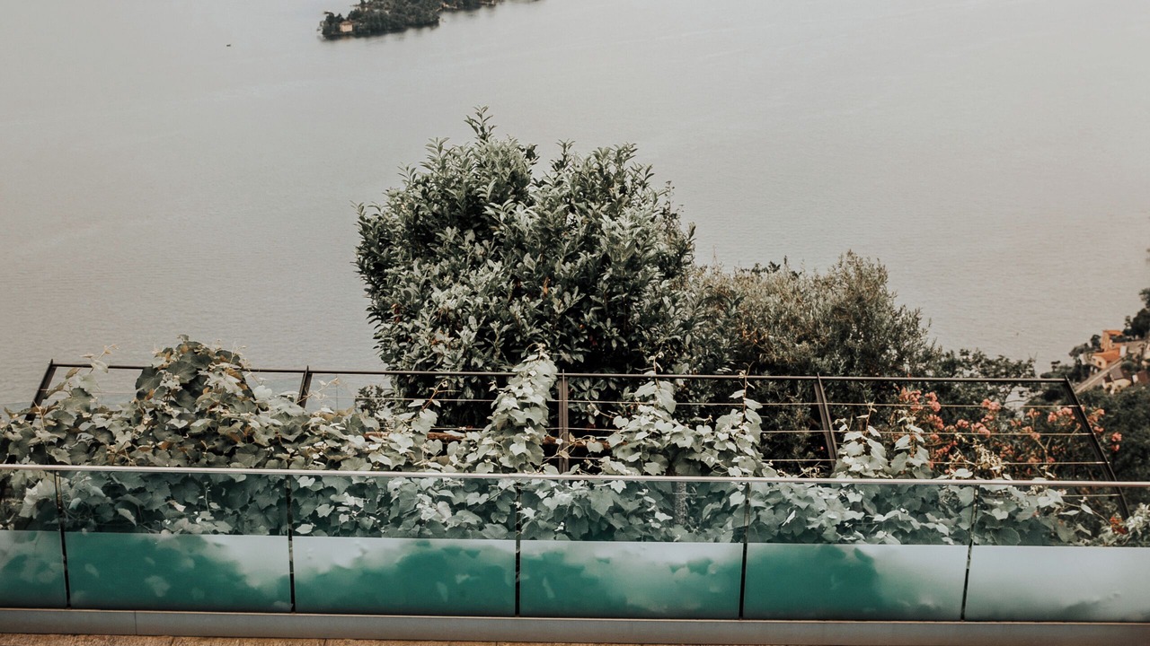 Photo of Outdoor in Ronco sopra Ascona