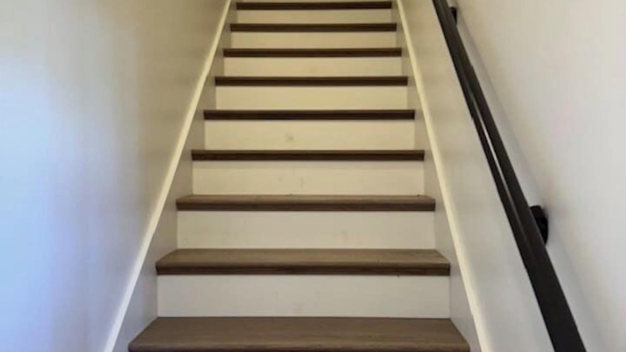 Photo of Others in Seal Harbor