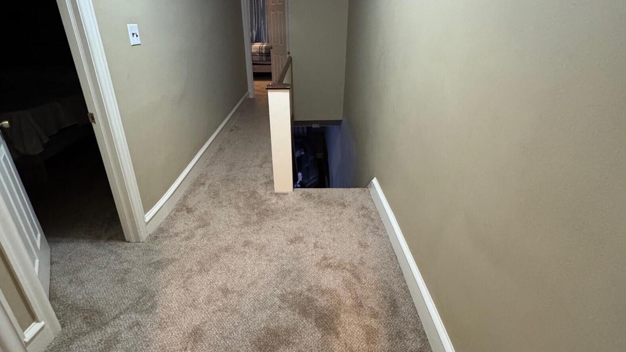 Photo of Others in Yeadon