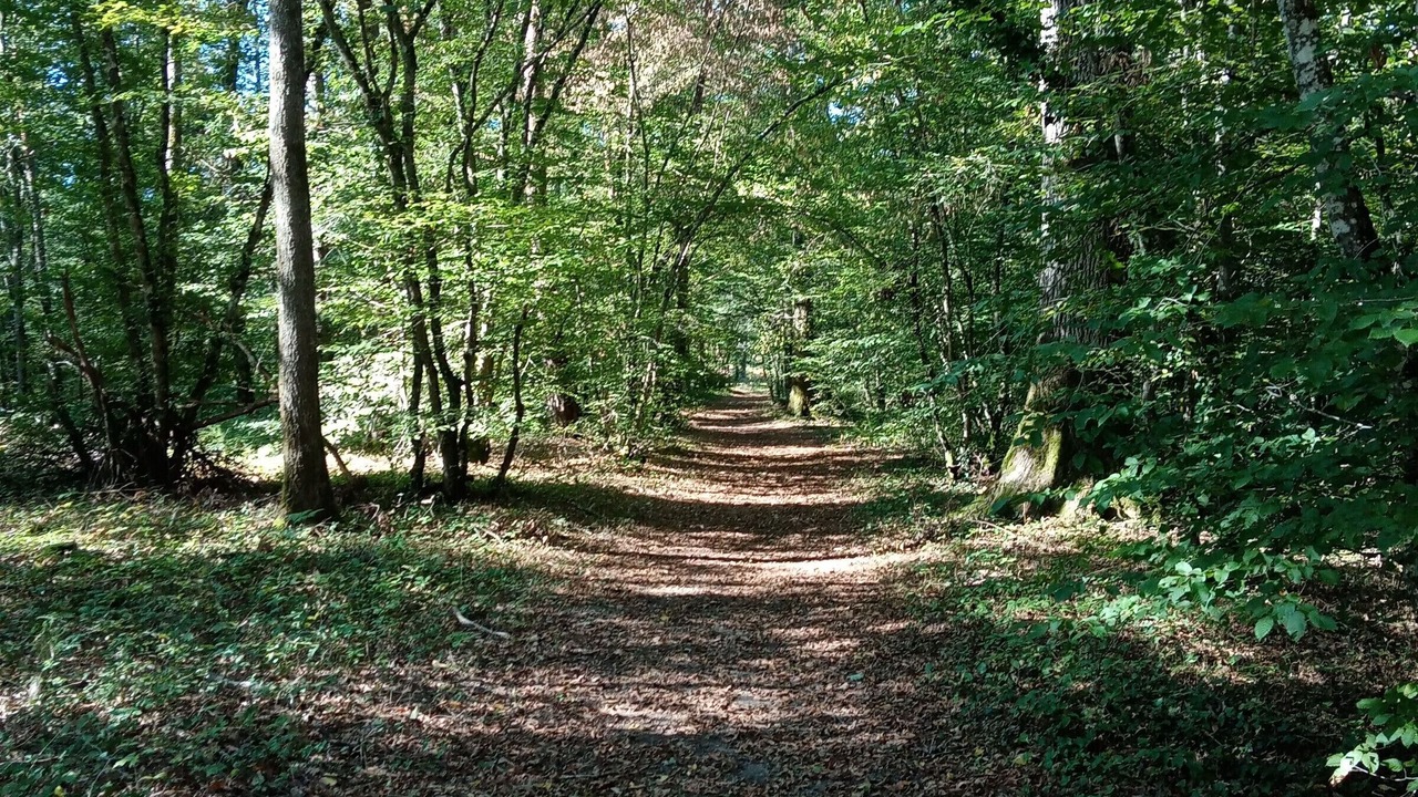 Photo of Outdoor in Vieilles-Maisons-sur-Joudry