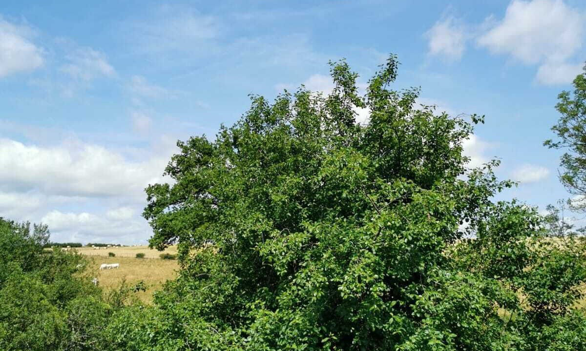 Photo of Outdoor in Aisy-sous-Thil