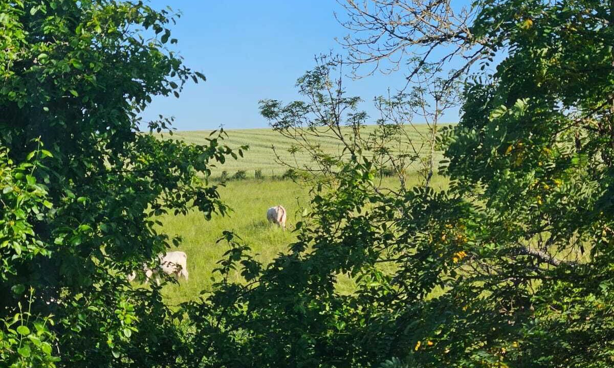 Photo of Outdoor in Aisy-sous-Thil