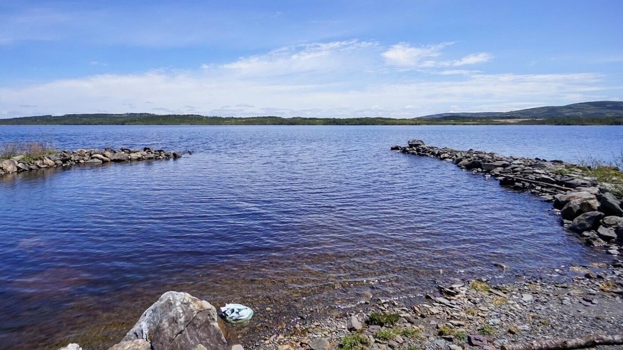 Photo of Others in Terra Nova
