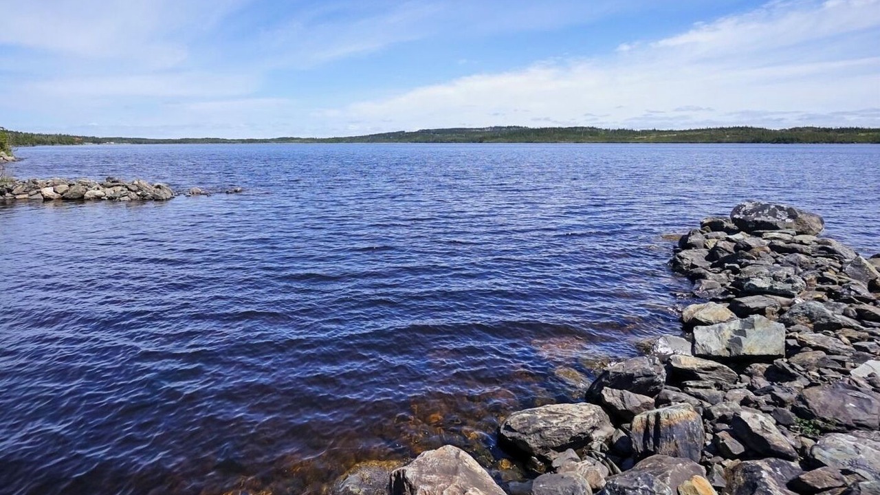 Photo of Others in Terra Nova