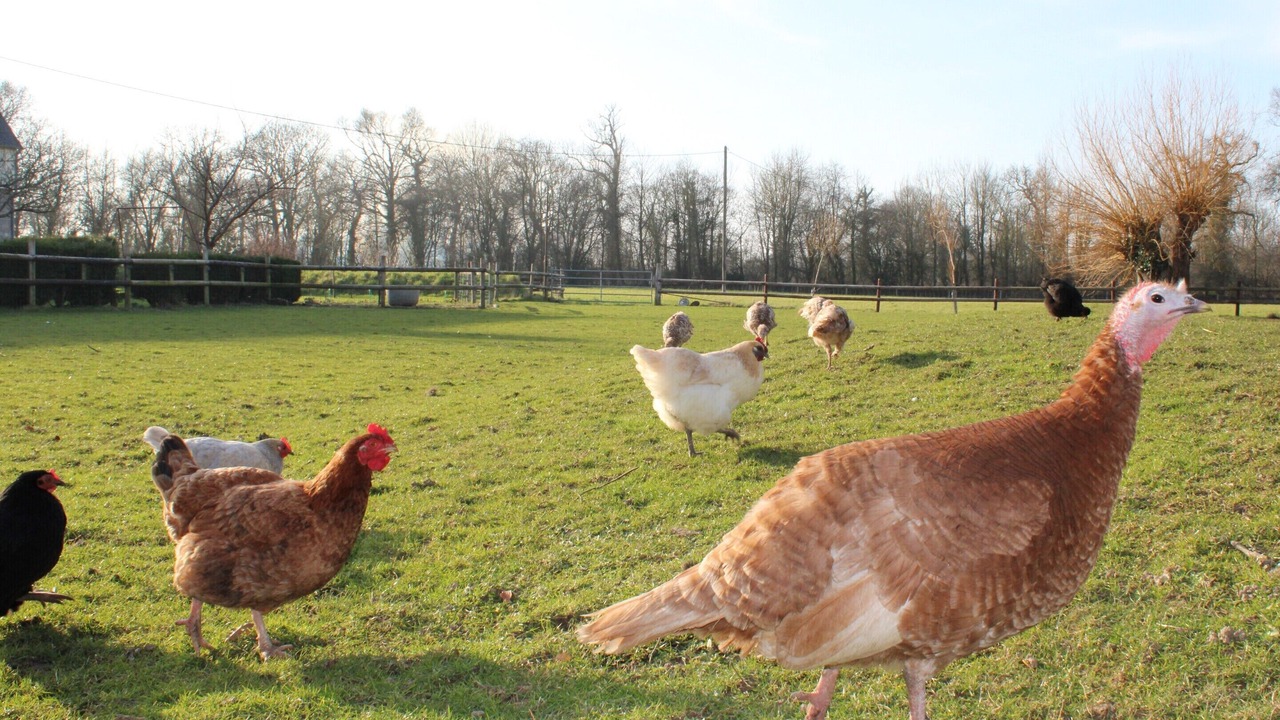 Photo of Others in Grandcamp-Maisy