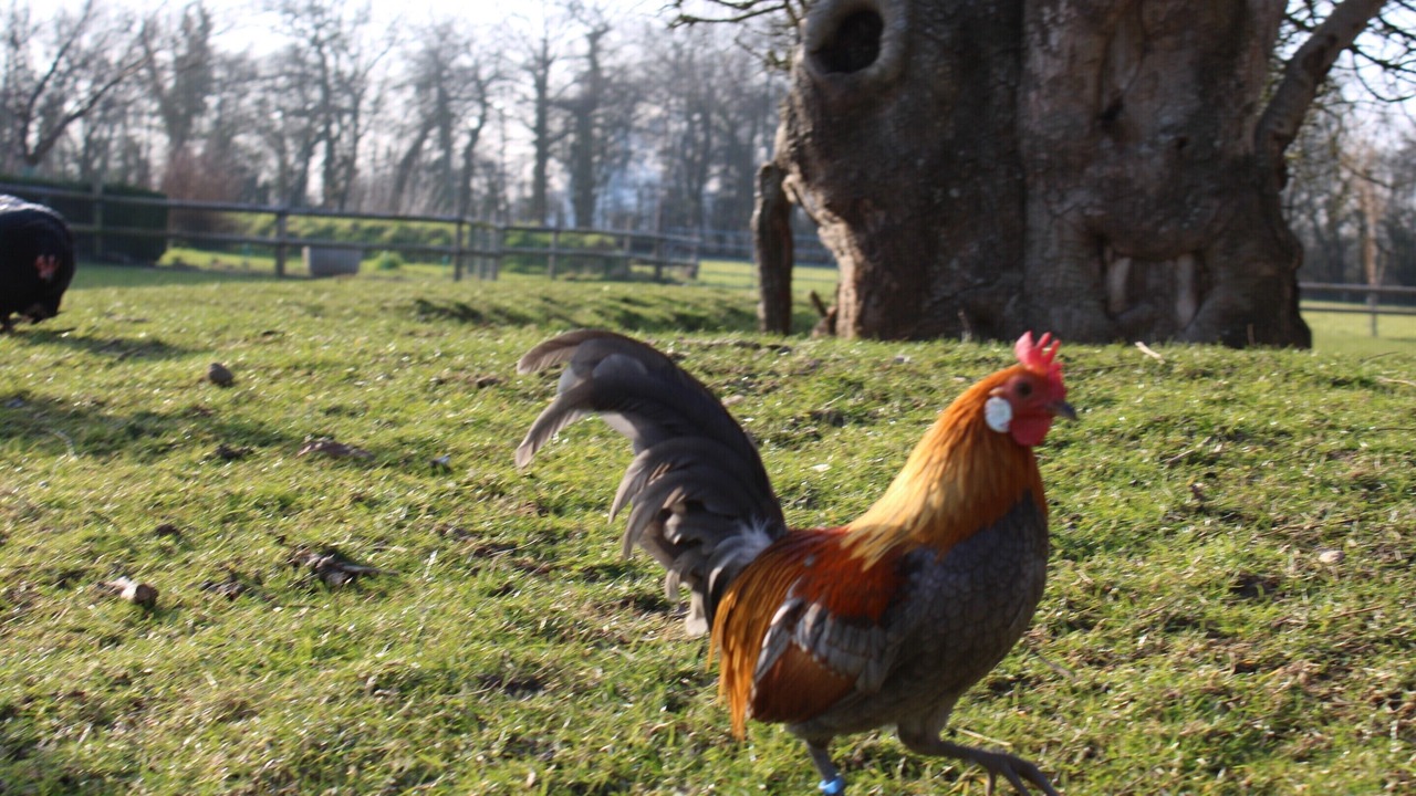 Photo of Others in Grandcamp-Maisy