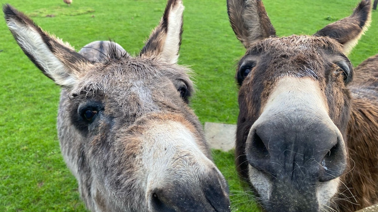 Photo of Others in Grandcamp-Maisy