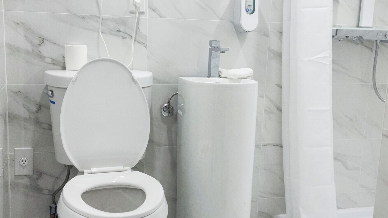 Photo of Others in West Bronx