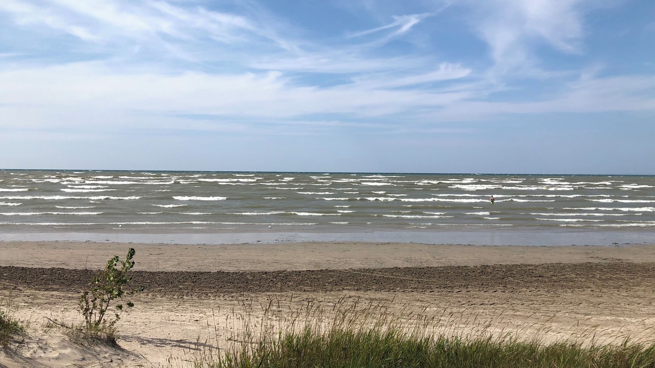 Photo of Others in Wasaga Beach