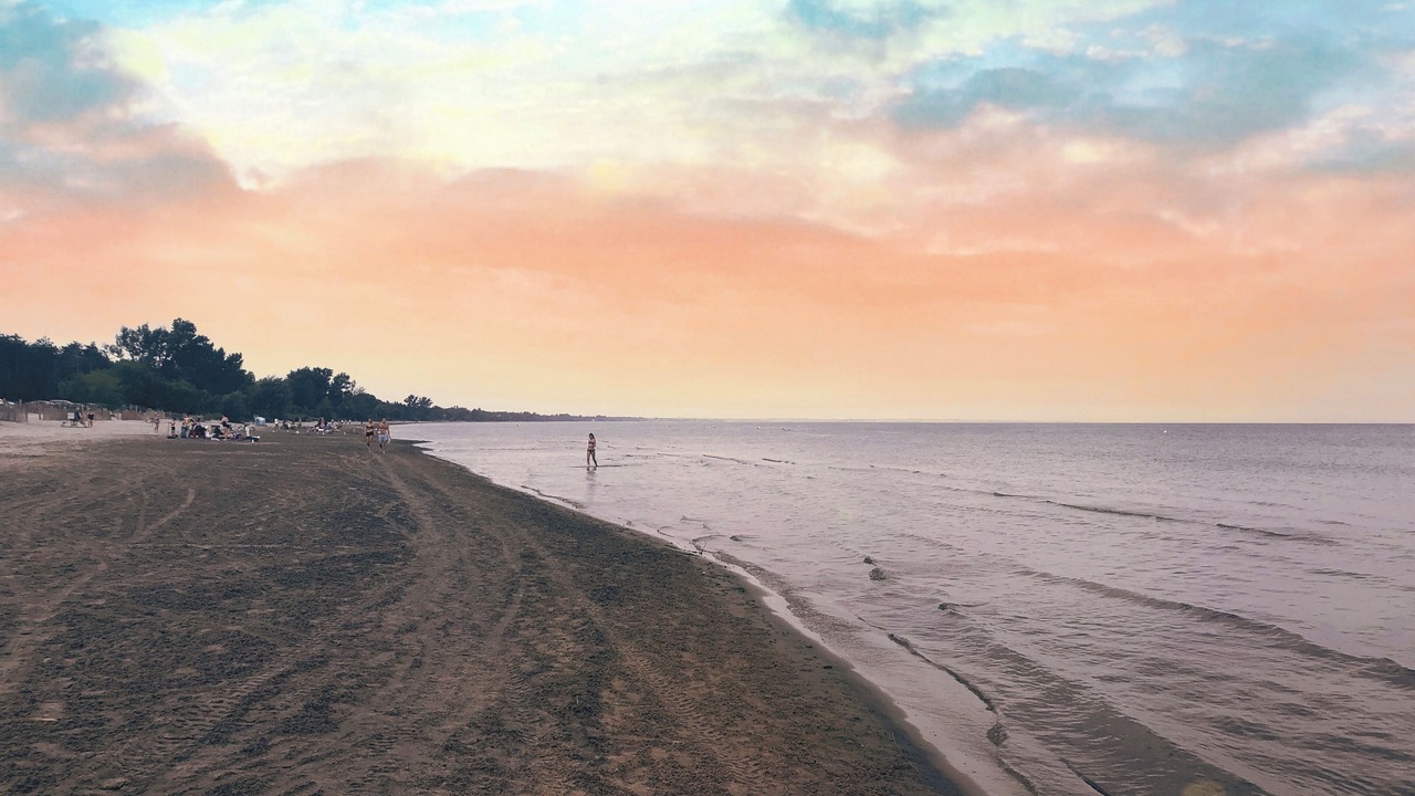 Photo of Others in Wasaga Beach