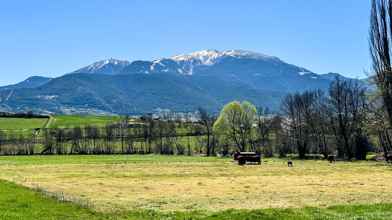 Photo of Outdoor in Puigcerda