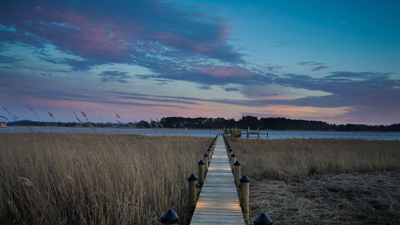 Photo of Others in Allen