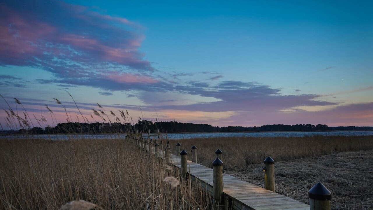 Photo of Others in Allen