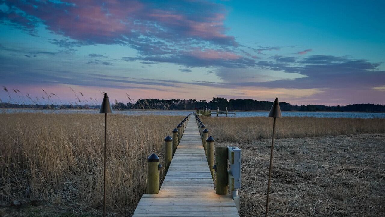 Photo of Others in Allen