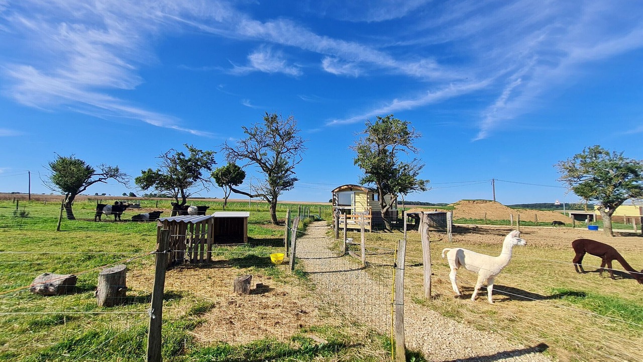 Photo of Outdoor in Burthecourt-aux-Chenes