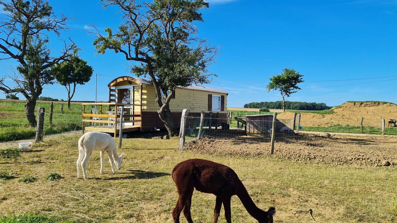 Photo of Outdoor in Burthecourt-aux-Chenes