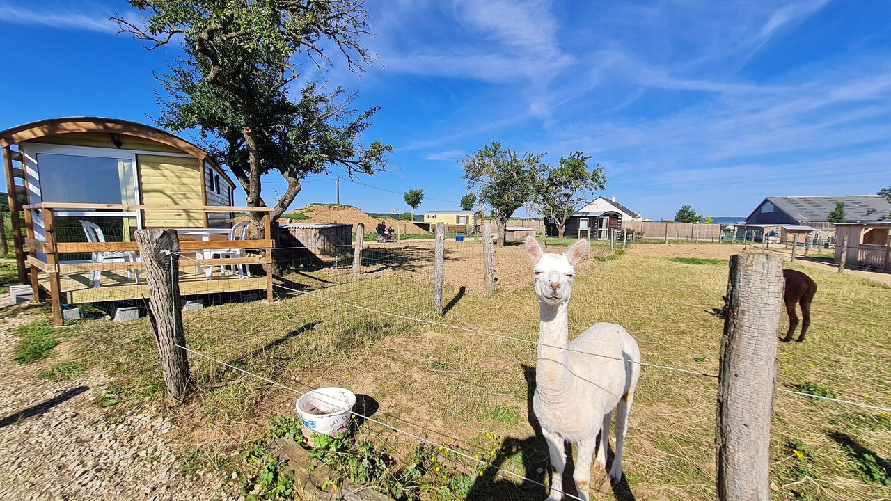 Photo of Others in Burthecourt-aux-Chenes