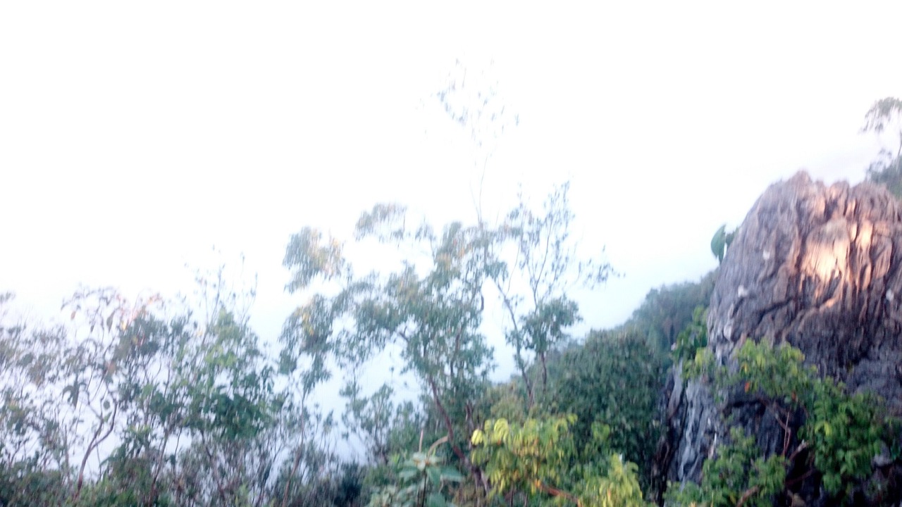 Photo of Others in Curlewis