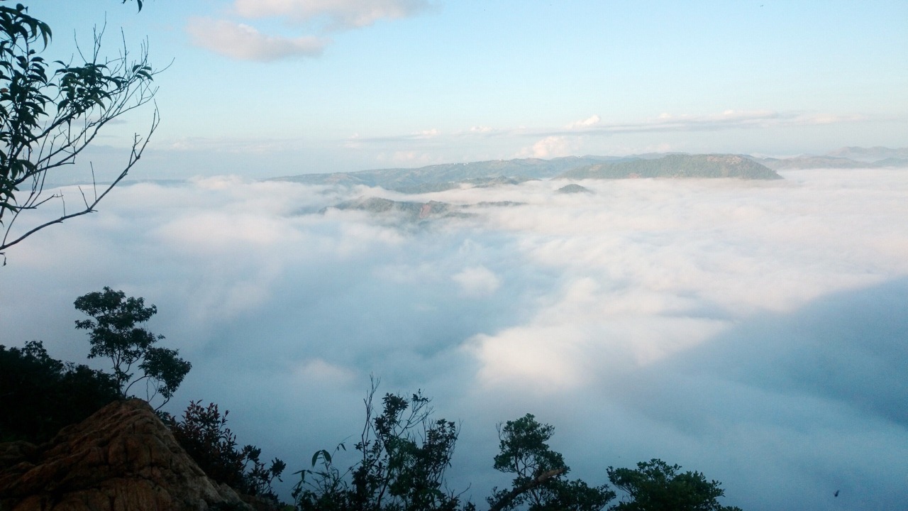 Photo of Others in Curlewis