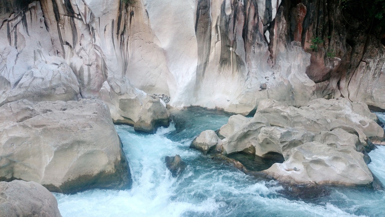 Photo of Others in Curlewis