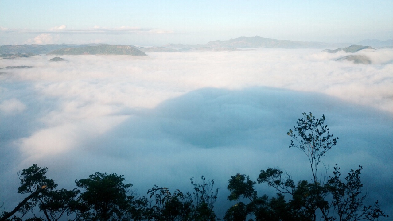 Photo of Others in Curlewis