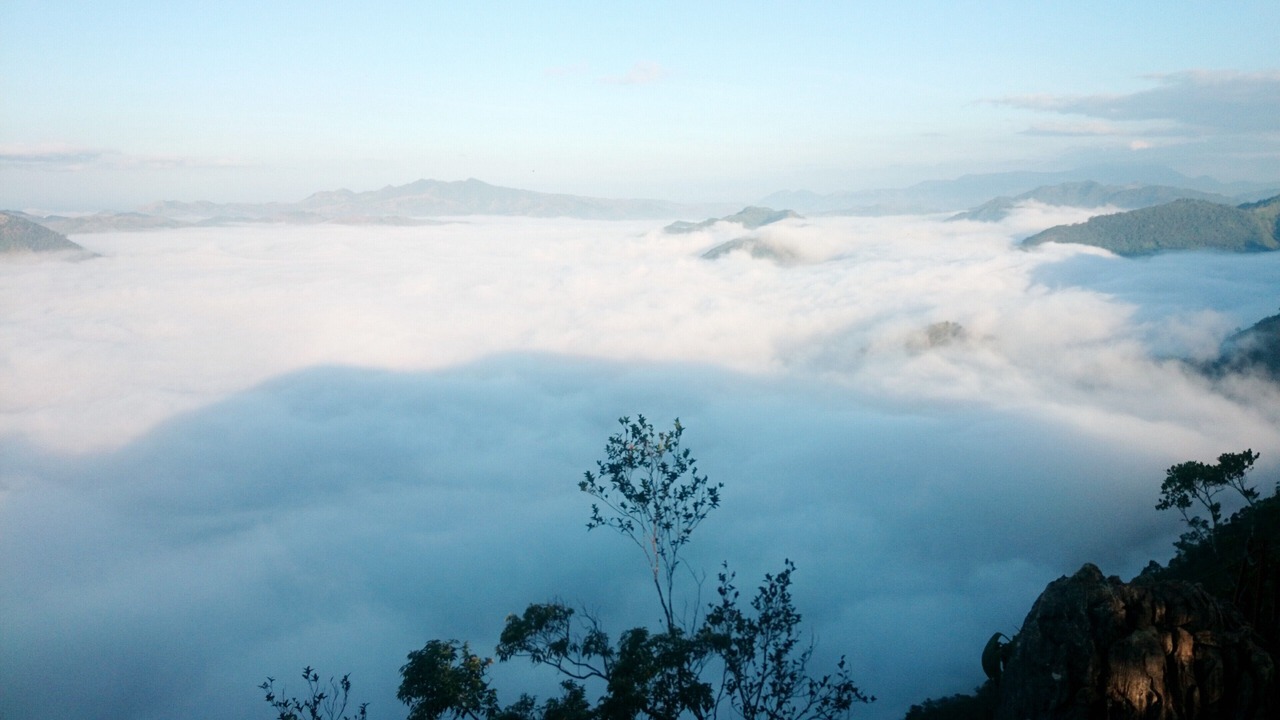 Photo of Others in Curlewis