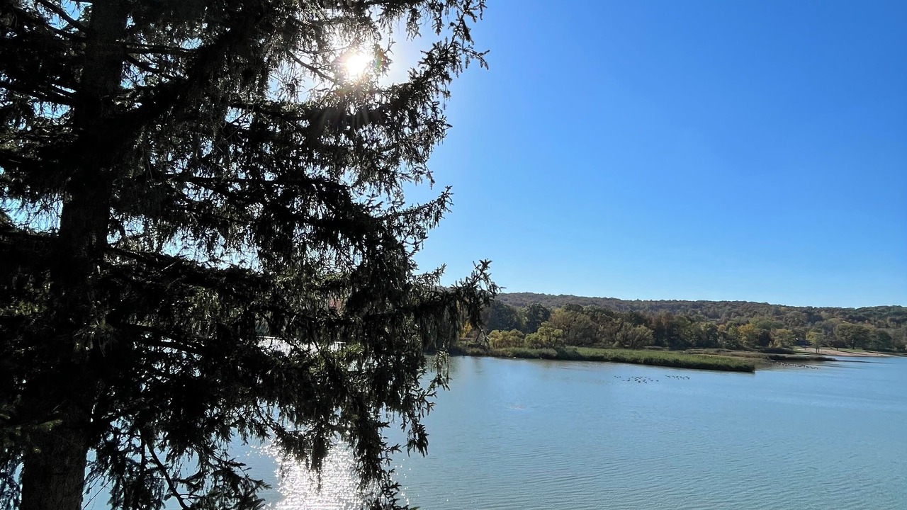 Photo of Others in Jamesville